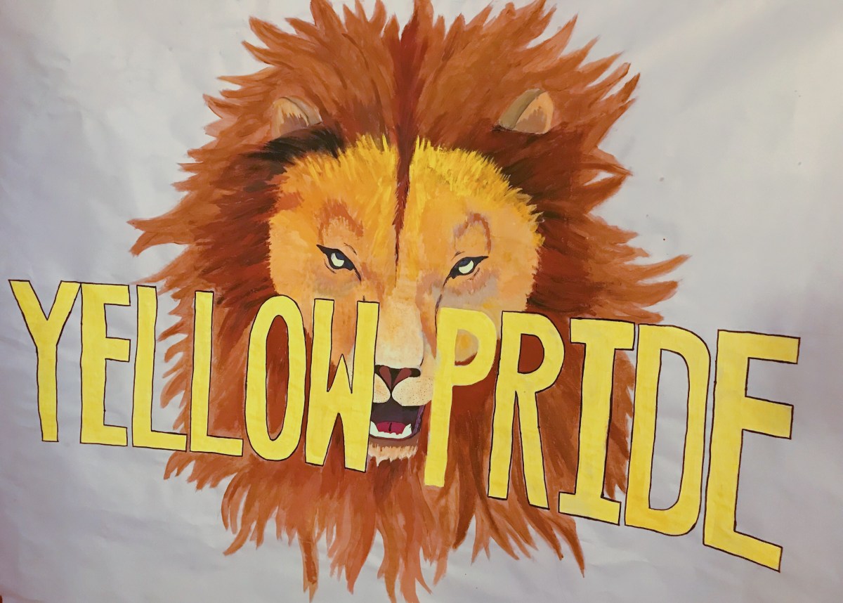 🏅2018 Sea Olympics