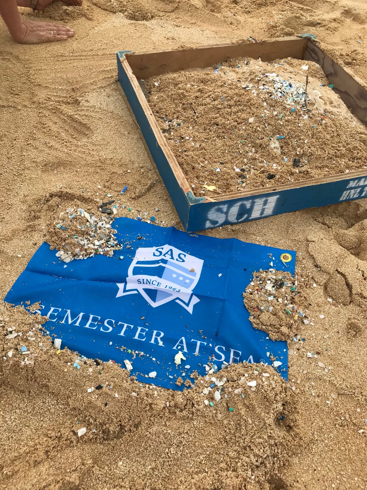 🇺🇸Helping Hand Hawai’i