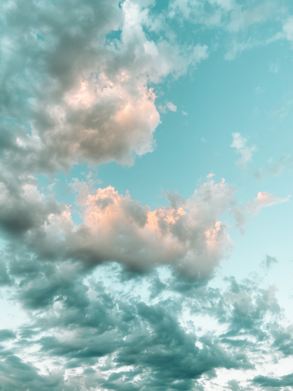 June-August Photo Essay